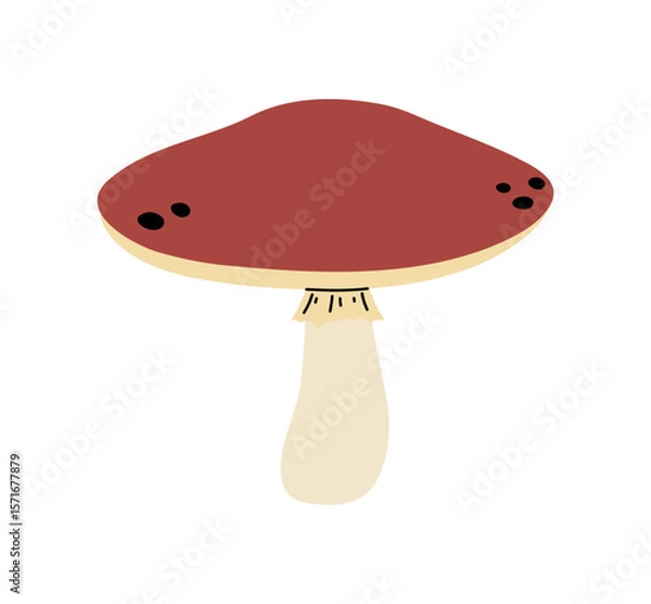 Fototapeta Mushroom. Vector mushroom on a white background. Vector illustration.