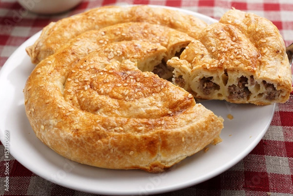 Obraz Kawałek burka