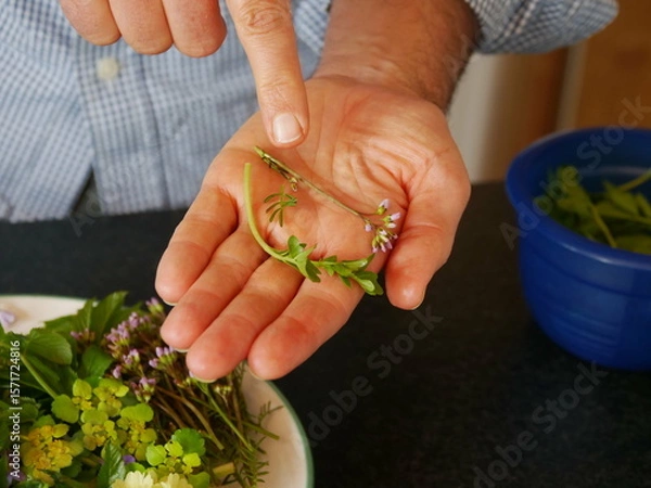 Obraz Man is holding a leaf in his hand and pointing to it