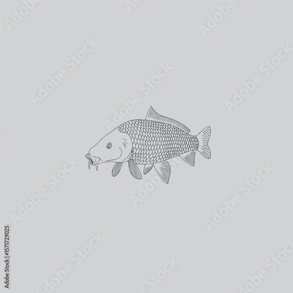 Obraz carp fishing image