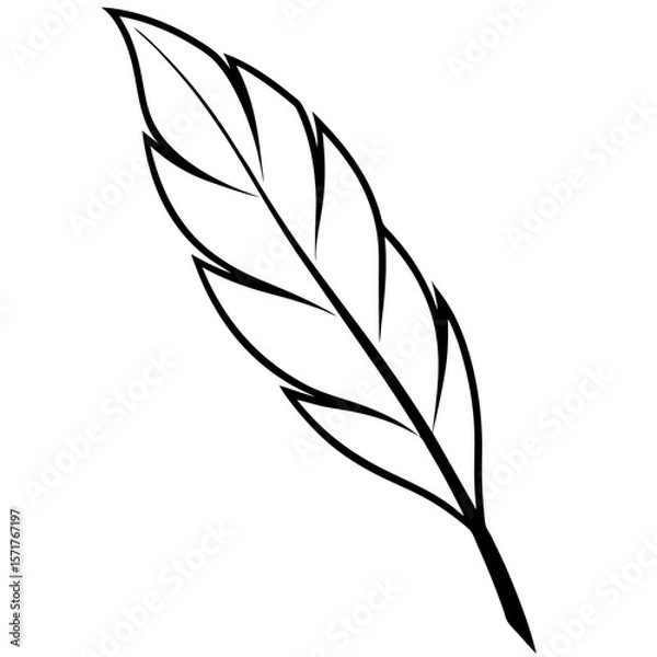 Obraz Single feather in minimal outline style