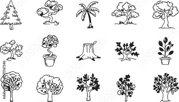 Obraz Collection of hand drawn black and white tree illustrations including pine bonsai palm tree stump and potted plant