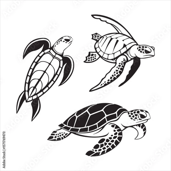 Fototapeta turtle sea icon vector art