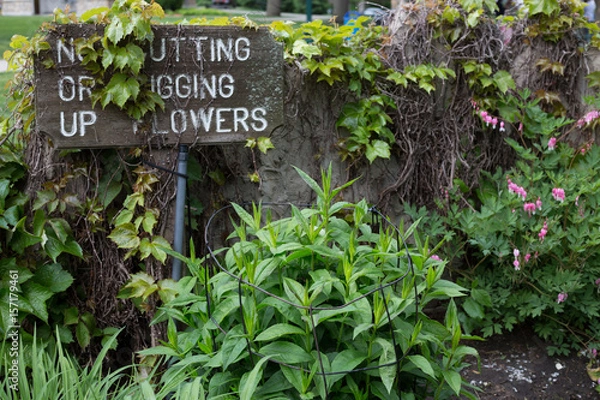 Obraz flowerbed sign