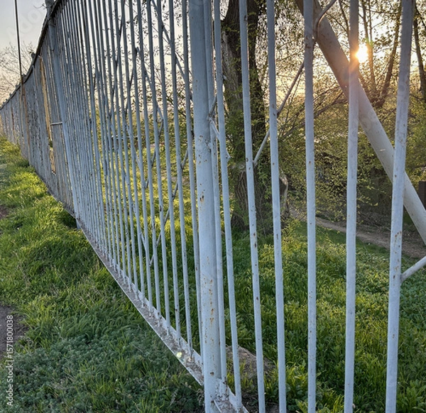 Fototapeta Metal fence along a green grassy path at sunset in spring. Warm evening light shining through trees and creating a peaceful natural atmosphere