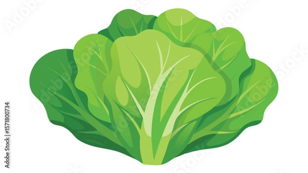 Obraz Simple vector illustration of a salad