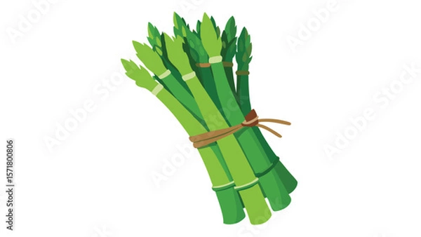 Obraz Green asparagus on white background vector illustration.