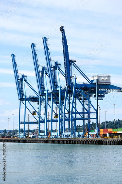 Fototapeta Idle blue cargo port cranes in raised position with no work