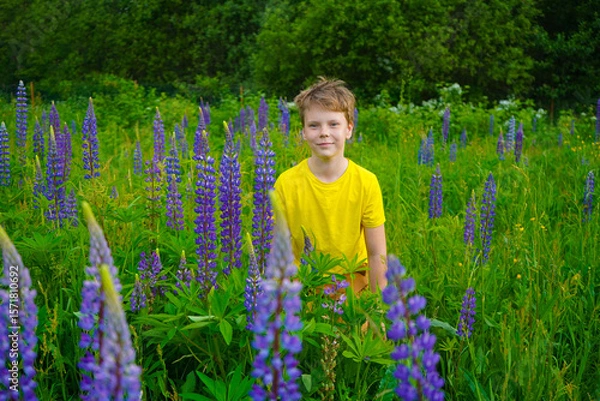 Obraz A joyful boy in a yellow T-shirt stands in a field of lupines, smiling happily. The vibrant flowers and bright sky create a cheerful. The scene captures innocence and happiness