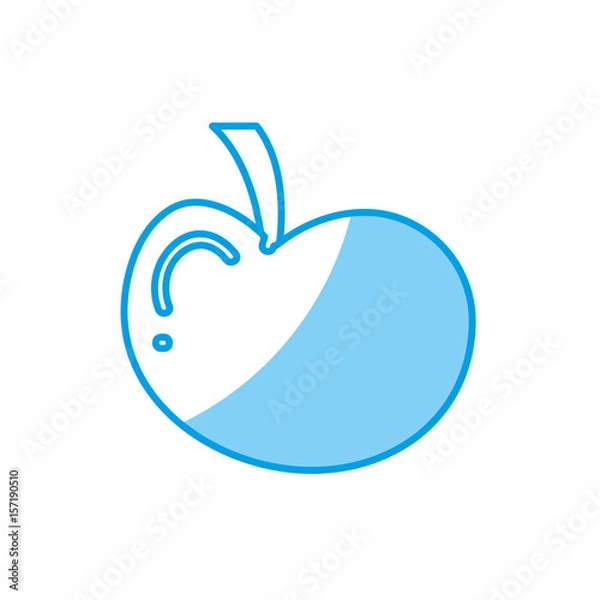 Obraz apple fruit icon over white background. vector illustration