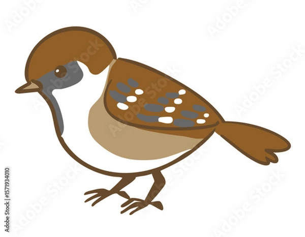 Obraz 横向きの少し太った雀のベクターイラスト