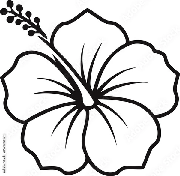 Fototapeta シンプルなハイビスカスの花