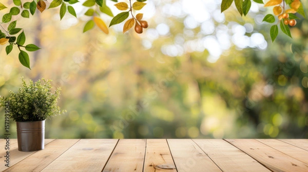 Fototapeta A potted plant sits on a wooden table in front of a tree