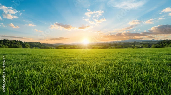 Fototapeta A field of grass with a bright sun in the sky