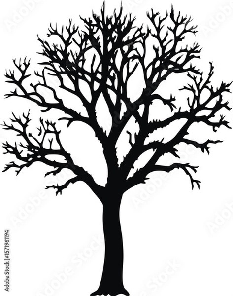 Fototapeta Bare Tree Silhouette with Branches, Gothic, Leafless Vector Art