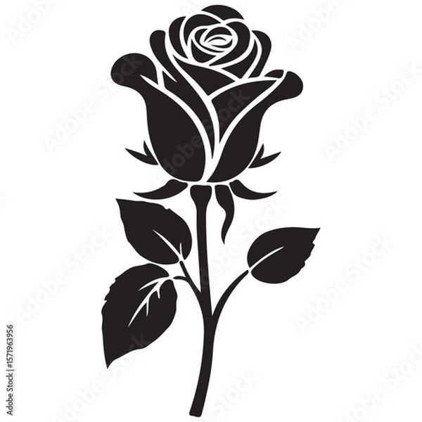 Fototapeta Black rose vector illustration with floral design and decorative botanical elements