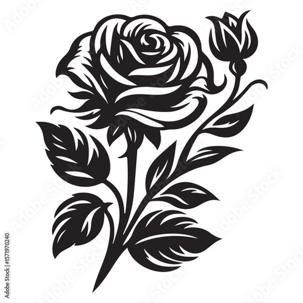 Fototapeta Set of Vector Rose Flowers with Floral Design Elements
