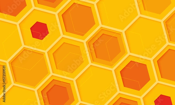 Obraz Geometric Hexagon Pattern Vector Background