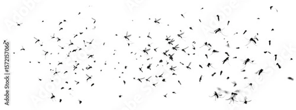 Obraz Black Insect Silhouettes with Transparent Background for Design Use