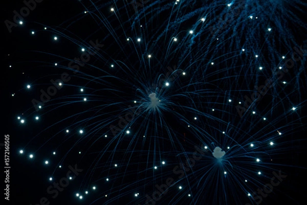 Obraz Telephoto shot of an exploded blue firework in the night sky.