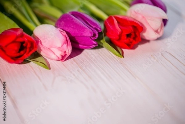 Obraz Five colorful tulip blossoms are being displayed on whitewashed wooden plank, flat design