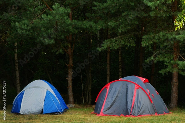 Fototapeta Tents for tourists in the forest.