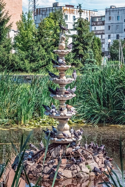 Fototapeta Multi-tiered stone fountain covered with pigeons in Heroes of Ukraine Square, Lokhvytsia, Poltava region, Ukraine. Urban park water feature surrounded by green vegetation and residential buildings