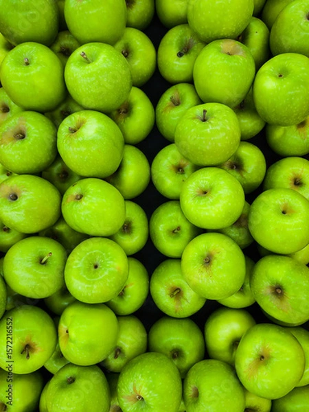 Fototapeta Green apple (Malus domestica) is a type of apple known for its bright green color and its fresh, tangy flavor with a crisp and juicy texture.