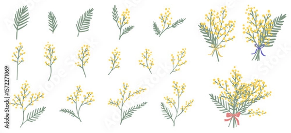 Fototapeta 手書きのかわいいミモザのイラスト素材セット　ベクター