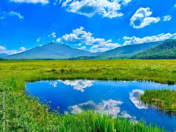 Obraz 池に映る雲、晴れた日の自然の風景、新緑の尾瀬。