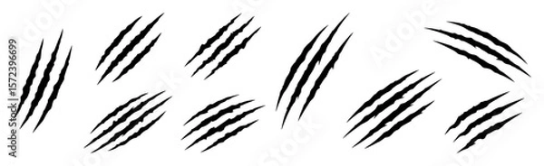 Obraz monster claw scratch marks vector set