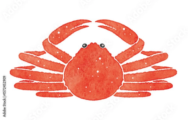 Obraz 美味しそうな蟹　カニ　ズワイガニ