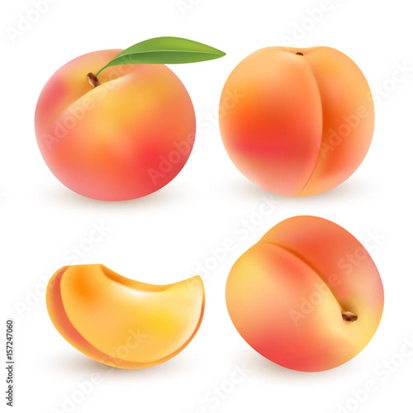 Fototapeta Peach. Sweet fruit. 3d vector icons set. Realistic illustration