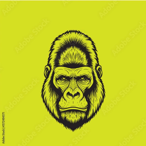 Fototapeta Gorilla Head Vector portrait