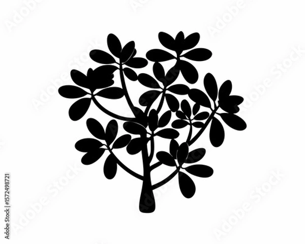 Obraz creative Silhouette simple Jade Plant (Crassula ovata) Vector Illustration 