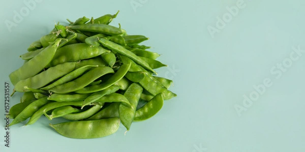 Fototapeta A pile of freshly harvested sugar snap peas on plain peppermint color background with space for text or logo. 