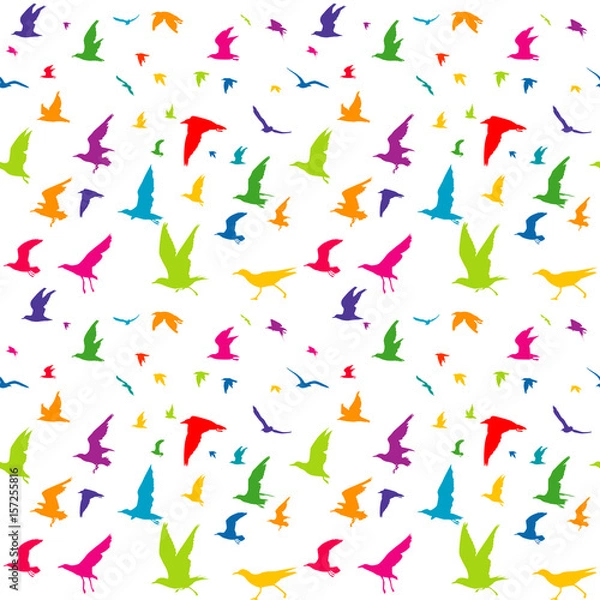 Fototapeta Colorful birds seamless pattern