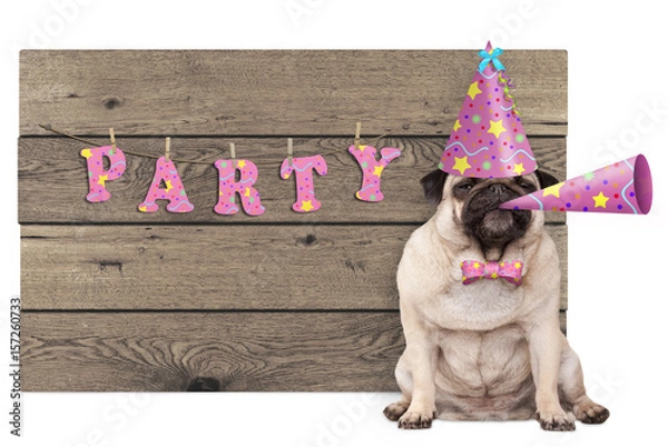 Fototapeta cute pug puppy dog with pink party hat and horn and wooden sign with text party, isolated on white background