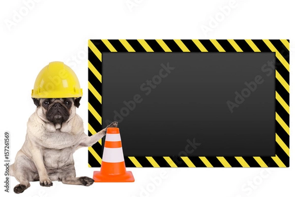 Obraz pug dog with yellow construction worker safety helmet and blank warning sign, isolated on white background