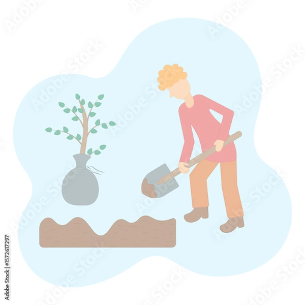 Fototapeta A young man plants a tree. Digging the ground with a shovel. A bush for planting, wrapped in a canvas bag. Color vector illustration. Isolated on white background. Flat style. Digging a garden bed. 