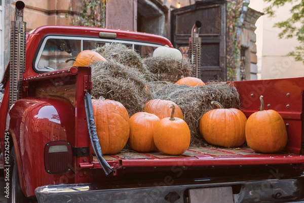 Fototapeta A red pickup truck loaded with pumpkins and haystacks. Pumpkins in the trunk of the car. The concept of farming, harvesting, Halloween
