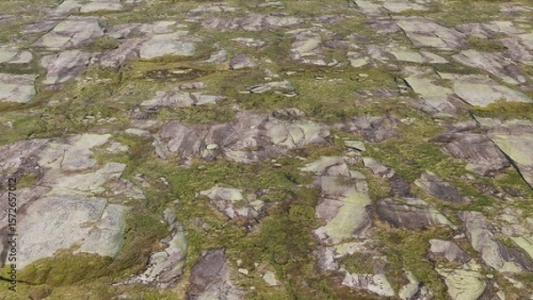 Fototapeta Lichen on rock and stone texture background. Stones texture ground. Realistic rock texture on perspective view. Natural stone surface texture.