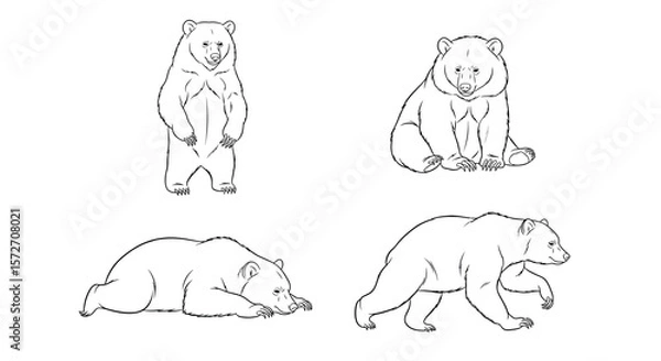 Fototapeta Sloth bear illustrations in various poses on white background  