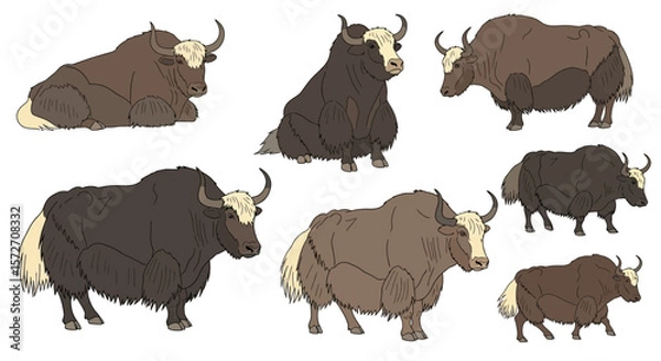 Fototapeta Different poses of yaks illustrated in various sizes and colors  