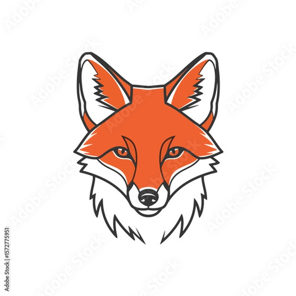 Fototapeta Red fox vector illustration