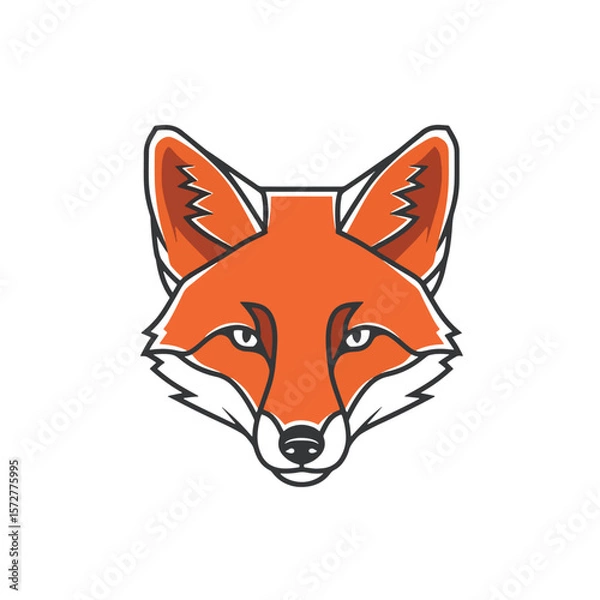 Fototapeta Red fox vector illustration