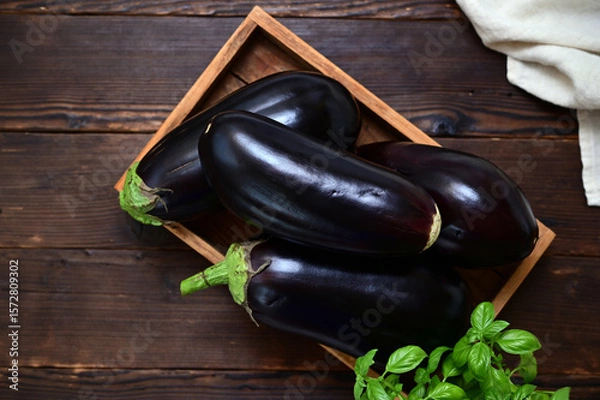Fototapeta rustic still life with fresh eggplants and basil on a table