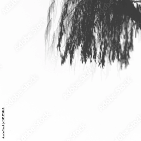 Fototapeta A stark black square canvas, devoid of any imagery, texture, or detail; a simple, pure representation of absolute darkness and emptiness