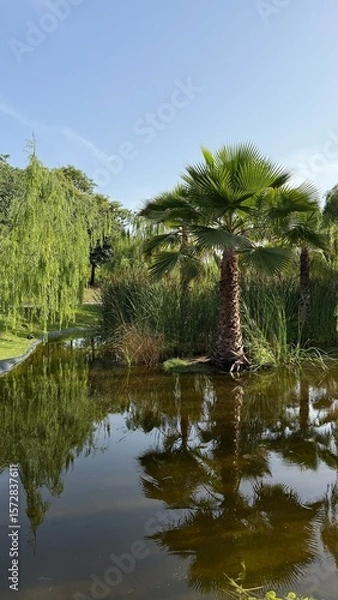 Fototapeta Malaga, Spain - June 18, 2025: Lush tropical landscape featuring palm trees reflected in serene pond surrounded by vibrant greenery and blue sky