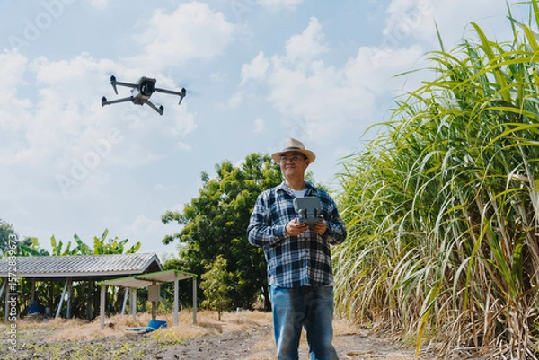 Fototapeta A cornfield owner is flying a drone to analyze the harvested corn.